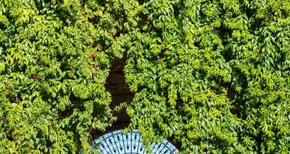 Dependance a Baglio il Corvo by Wonderful Italy