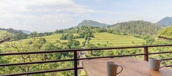 Zubimusu - baskeyrentals