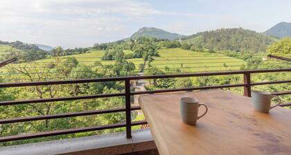 Zubimusu - baskeyrentals