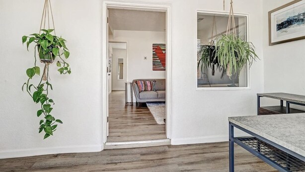 A modern living room with a wooden floor, a grey sofa, and a hanging plant. - Nob Hill Haven, near UNM (Albuquerque)