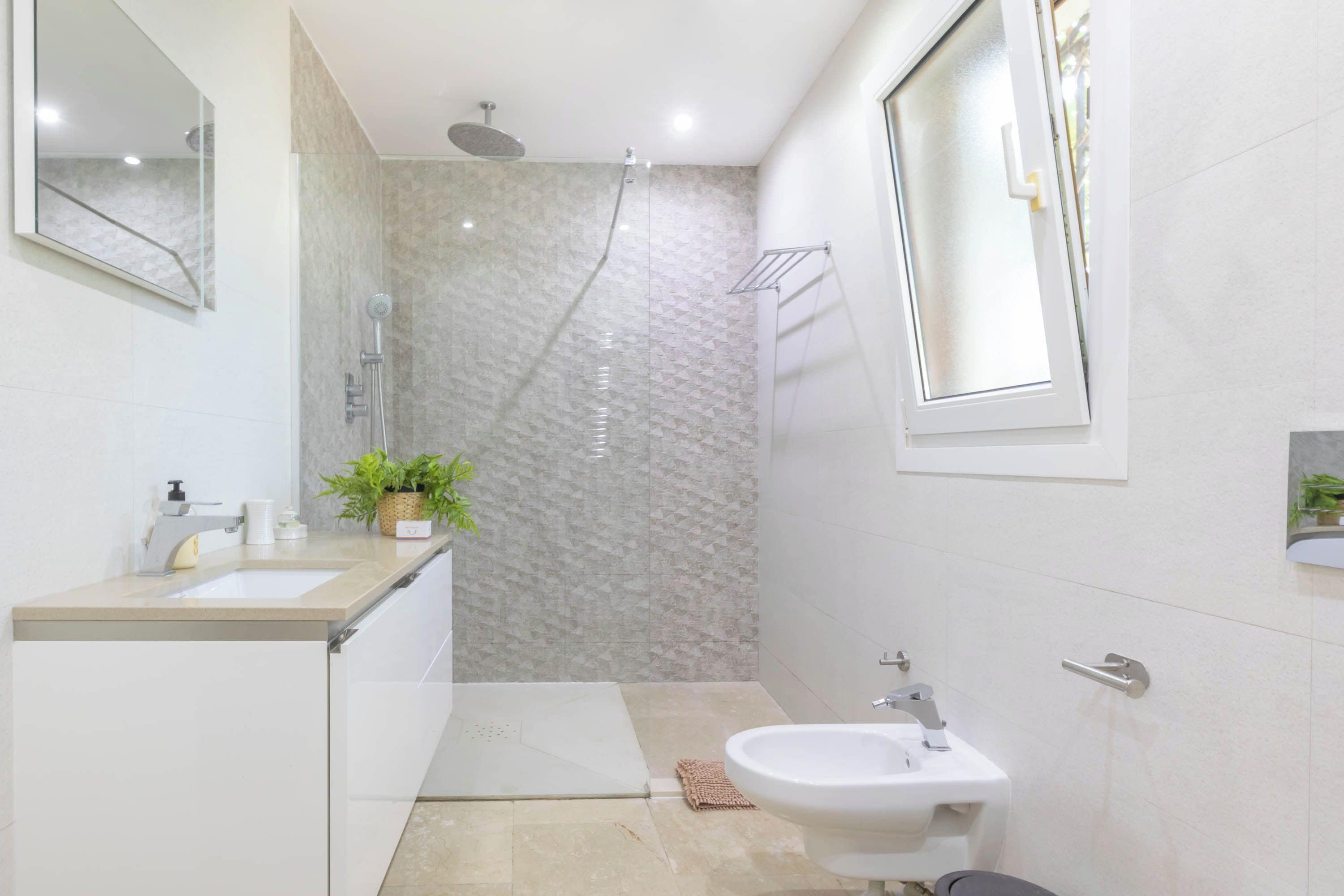 A modern bathroom with a shower, sink, and a potted plant.