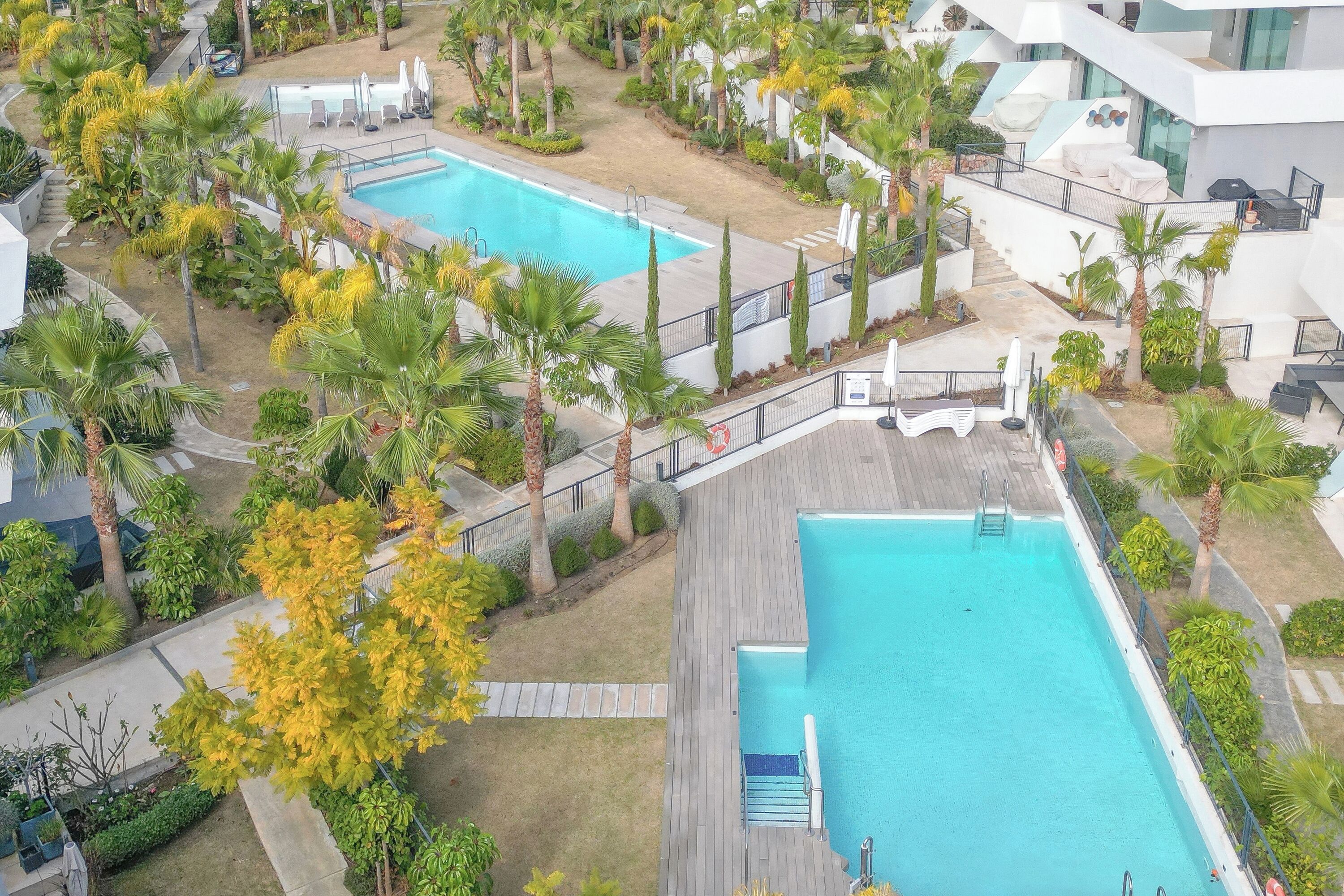A rooftop pool area with two swimming pools, surrounded by palm trees and lounge chairs.