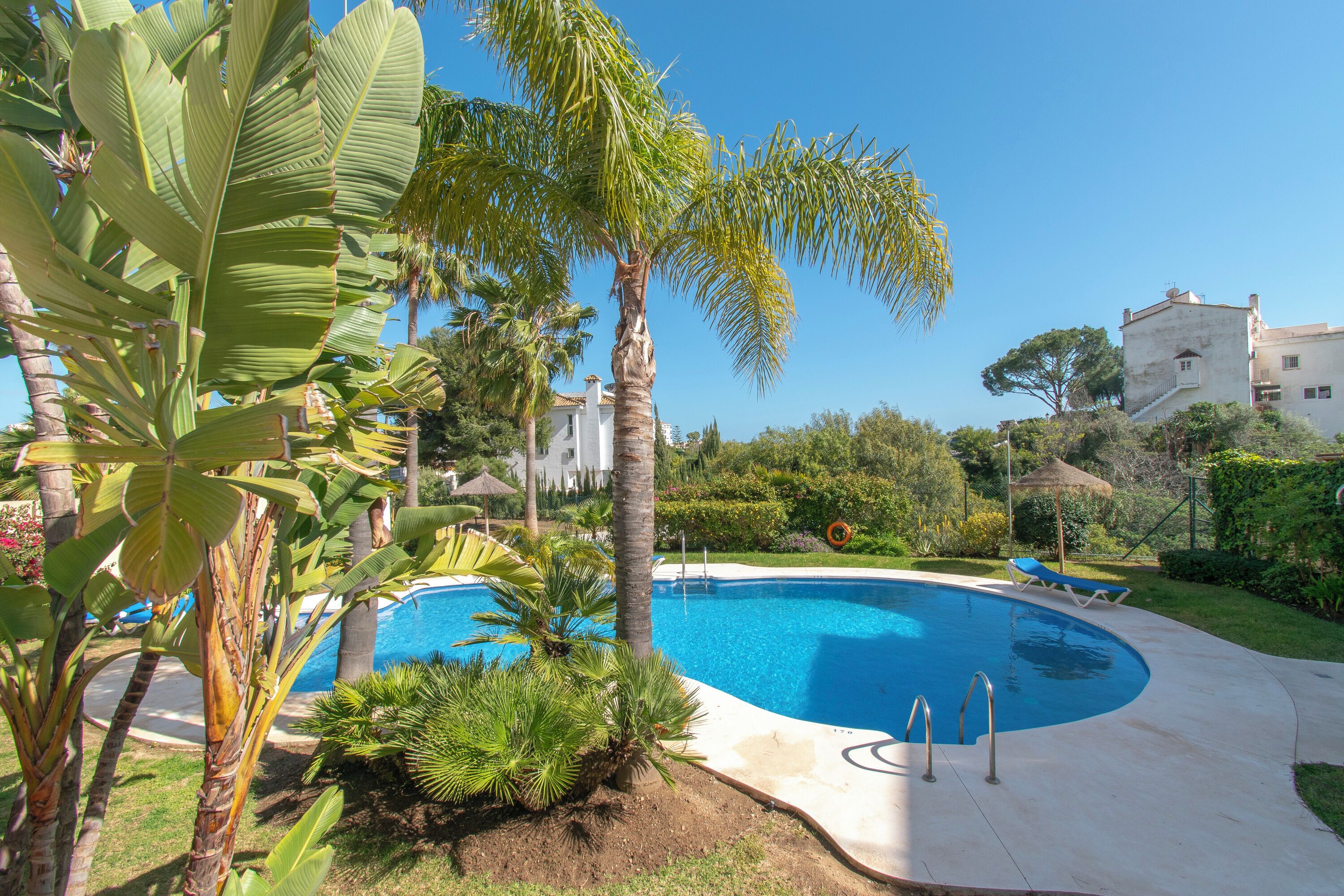 Honeymoon Apartment, Multiple Bedrooms, 2 Bathrooms, Mountainside (Paraiso De Riviera) | Pool | Seasonal outdoor pool