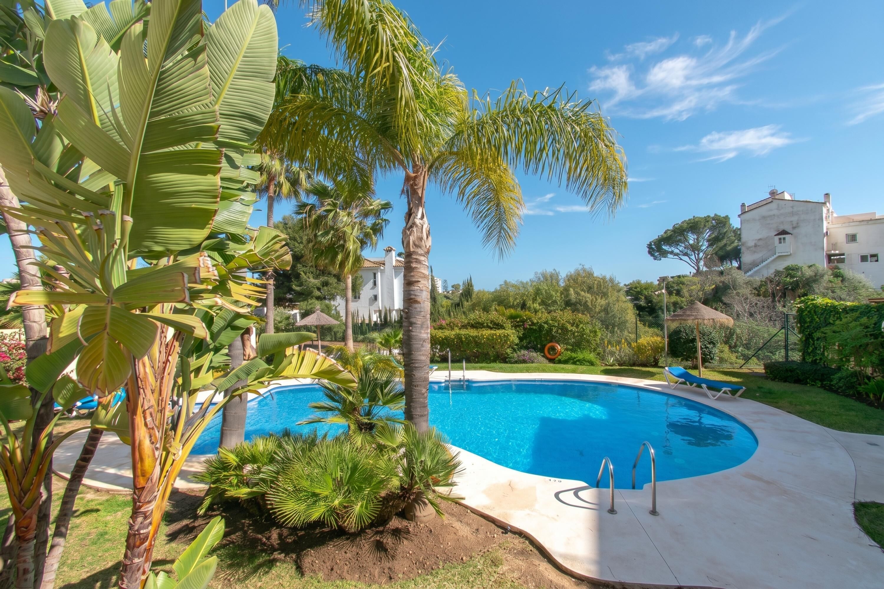 Honeymoon Apartment, Multiple Bedrooms, 2 Bathrooms, Mountainside (Paraiso De Riviera) | Pool | Seasonal outdoor pool