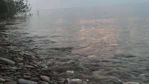 Une plage de galets, avec une eau calme et un ciel nuageux.