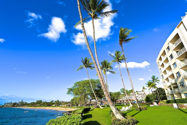 A beachfront hotel with palm trees, a pool, and a view of the ocean.