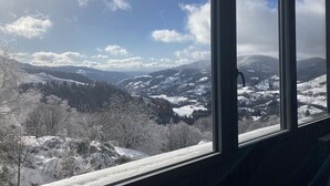 Vista desde una ventana sobre un paisaje nevado con montañas y árboles.