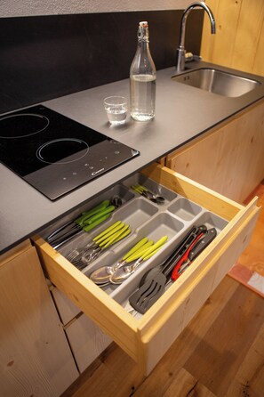 Réfrigérateur, micro-ondes, plaque de cuisson, lave-vaisselle