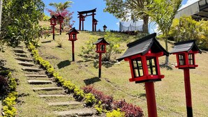 A garden with red lanterns, a pathway, and a large tree.
