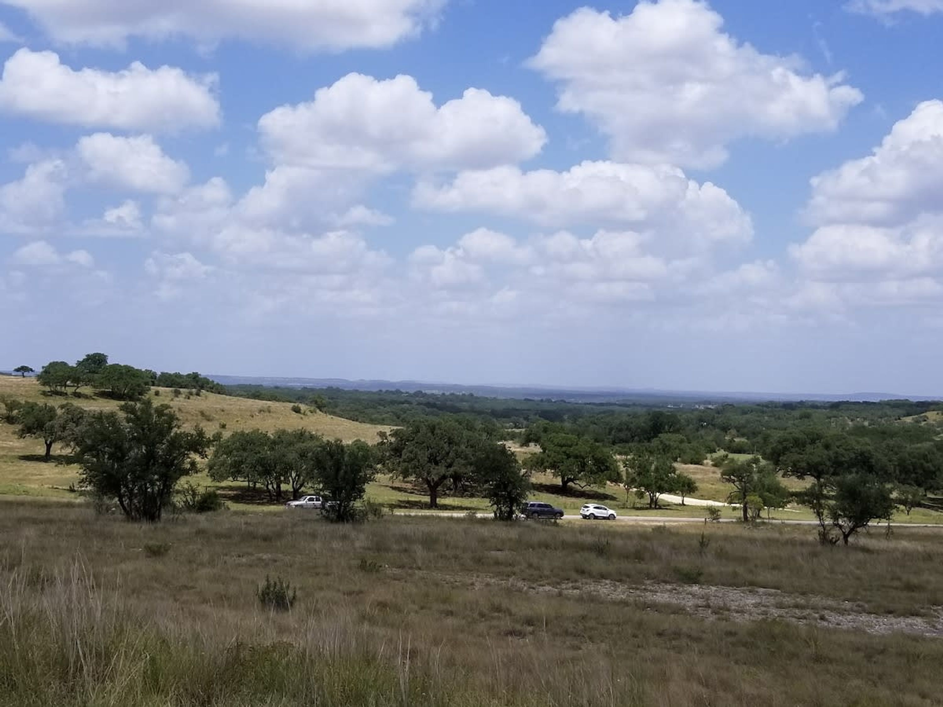 Paisagem com um campo gramado, árvores e céu claro.
