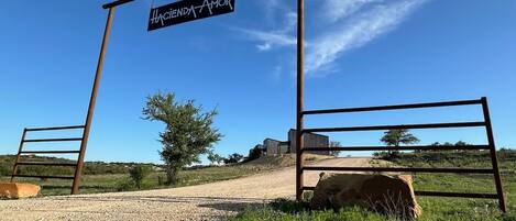 Una entrada rural con un letrero que dice "Hacienda Amor" y puertas de metal.
