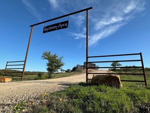 รูปภาพที่ไม่ได้จัดประเภท, 5 จาก 24, ปุ่ม