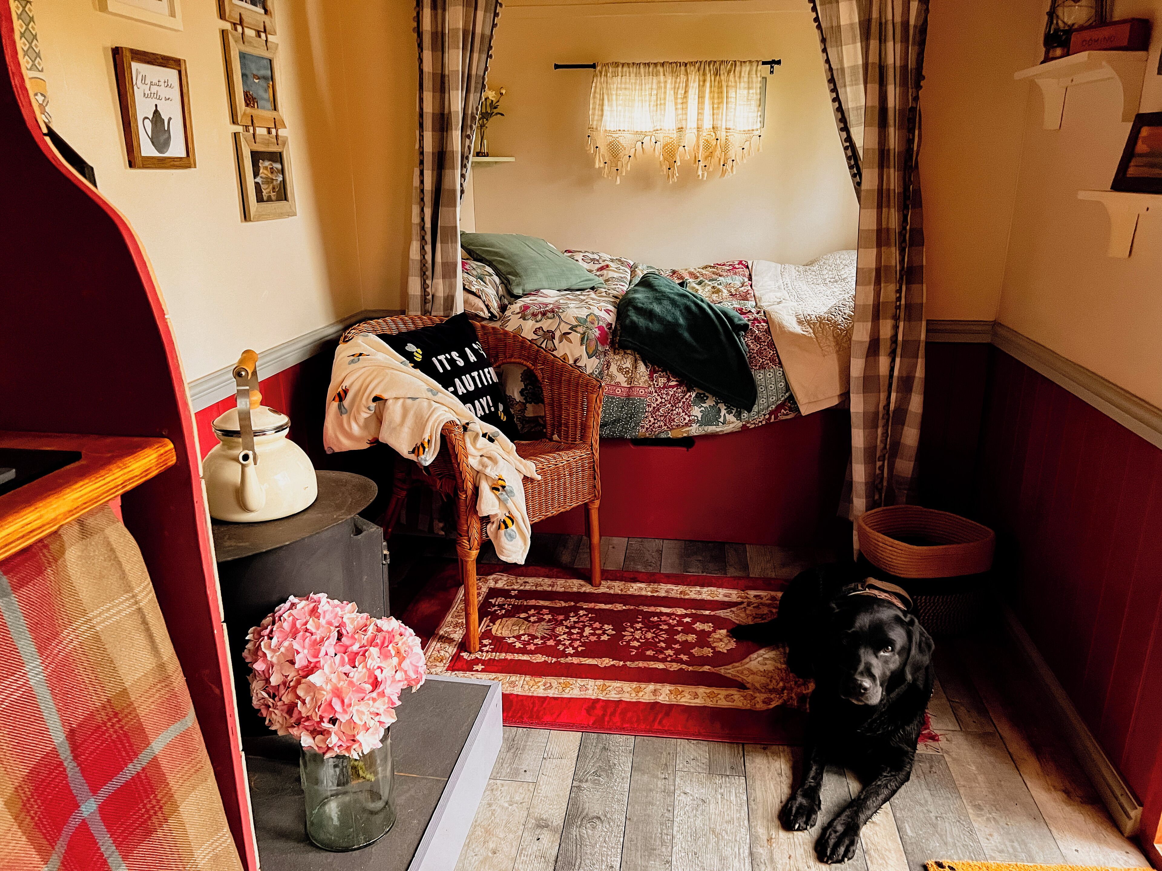 Une chambre confortable avec un lit, un fauteuil en osier, une petite table avec une théière et un chien.