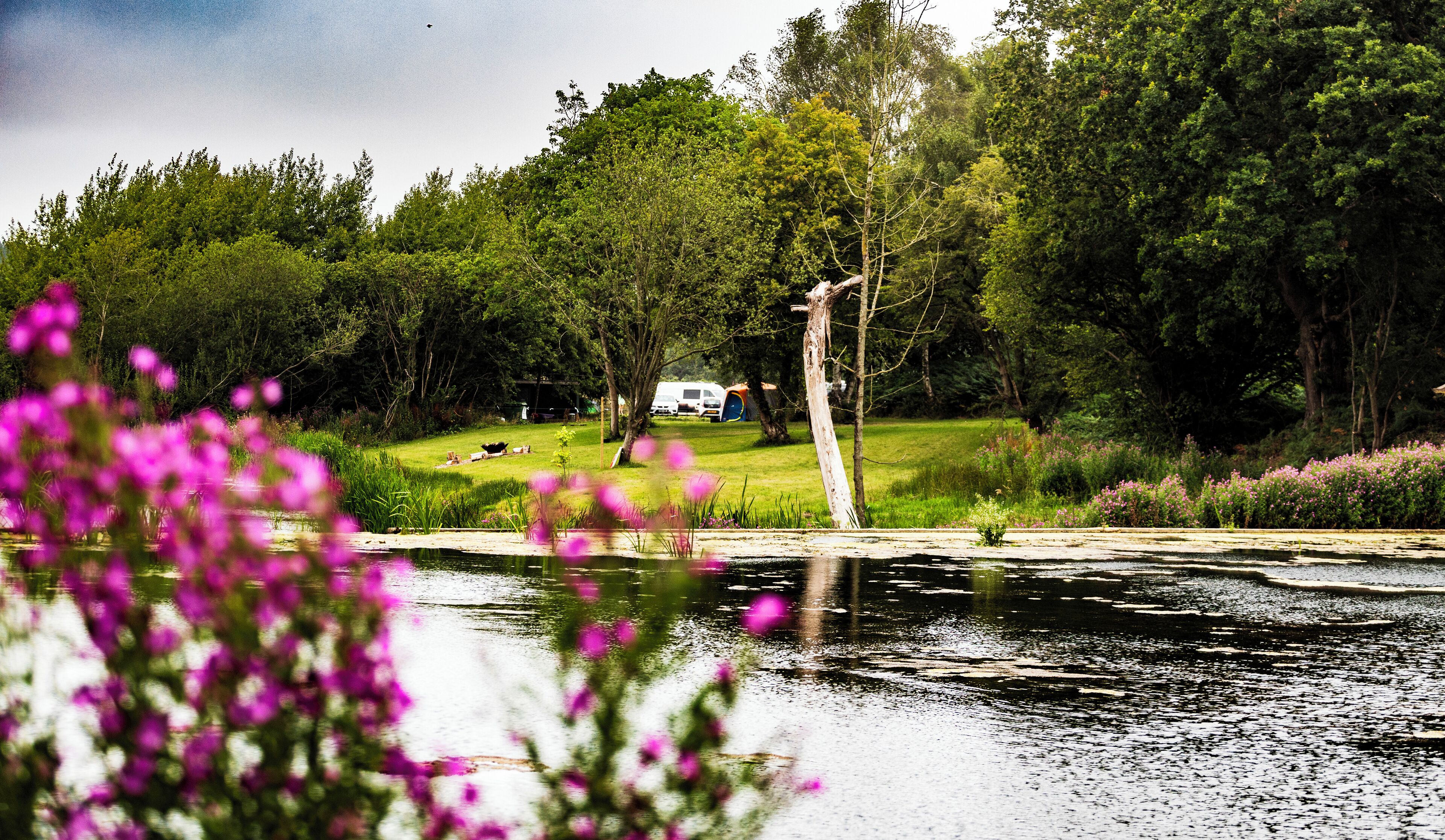 A campsite with tents, a van, and a lake surrounded by trees.