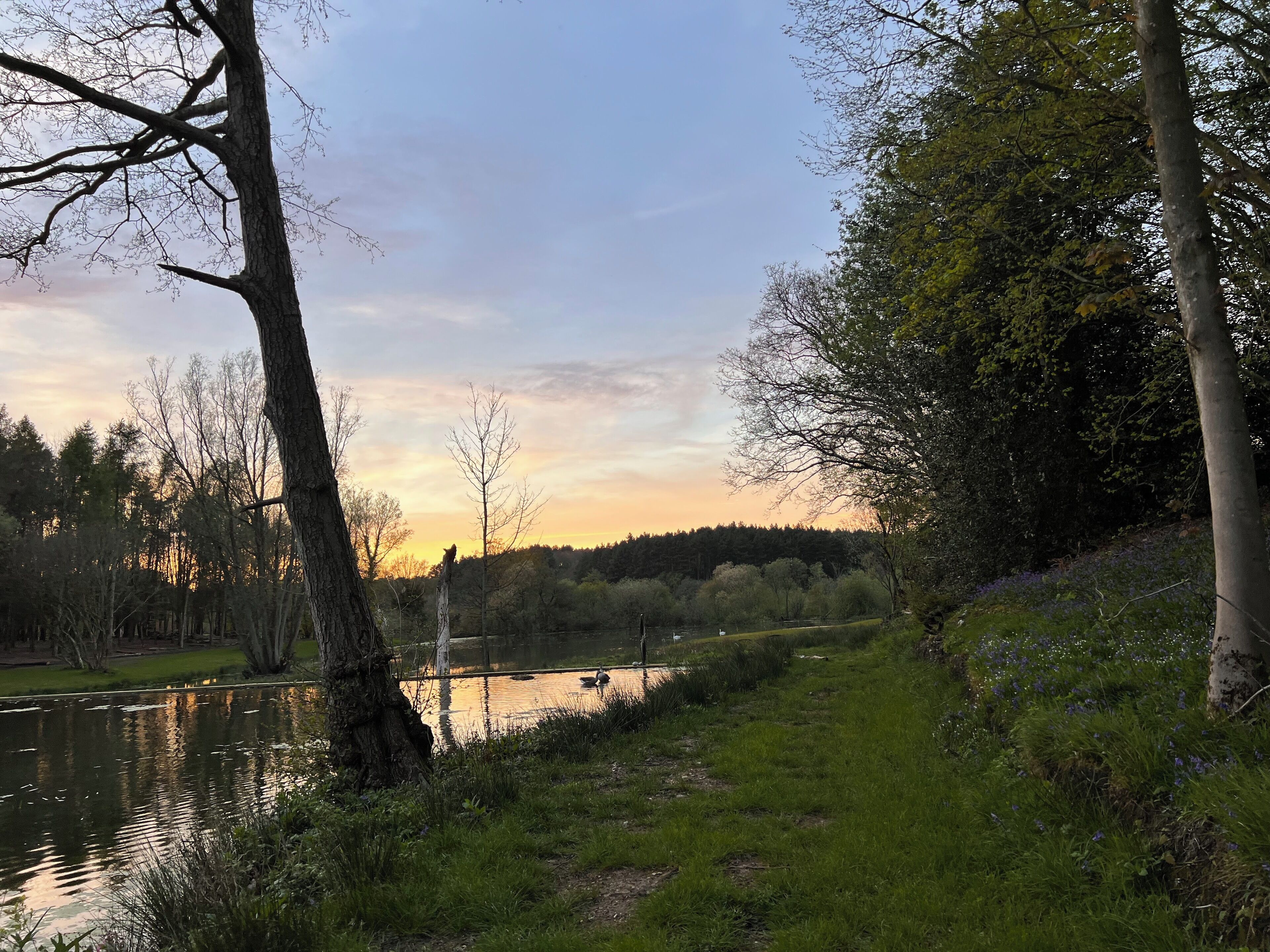 A serene riverside landscape with trees and a calm body of water reflecting the sky.