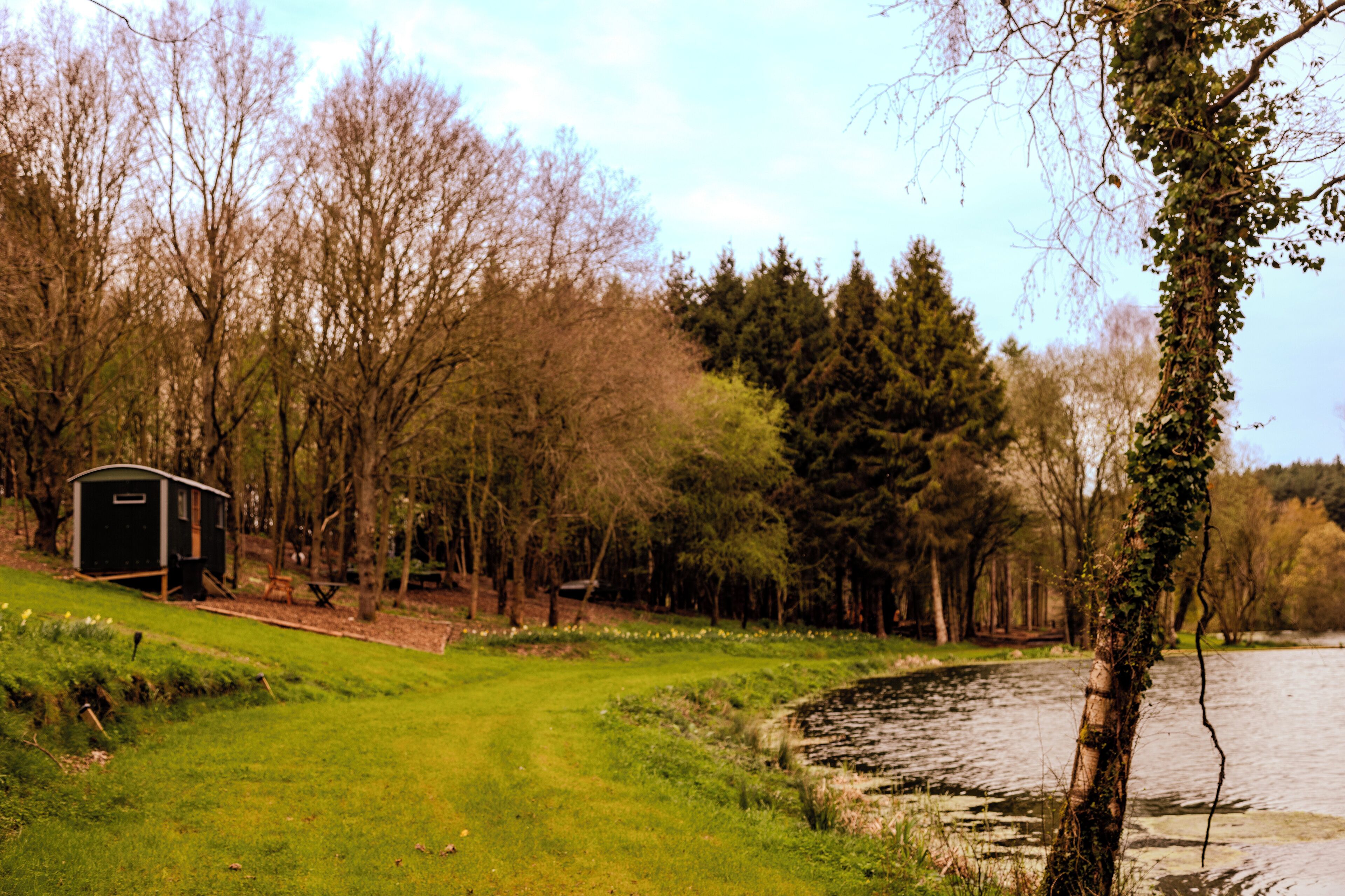 A riverside campsite with a small cabin, surrounded by trees and greenery.