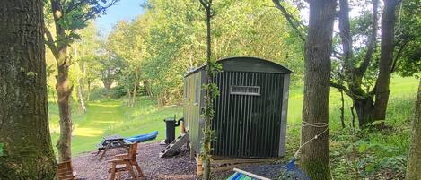 A hammock, a wooden bench, and a shed in a forested area.