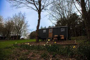 미분류 이미지, 3/65장, 버튼