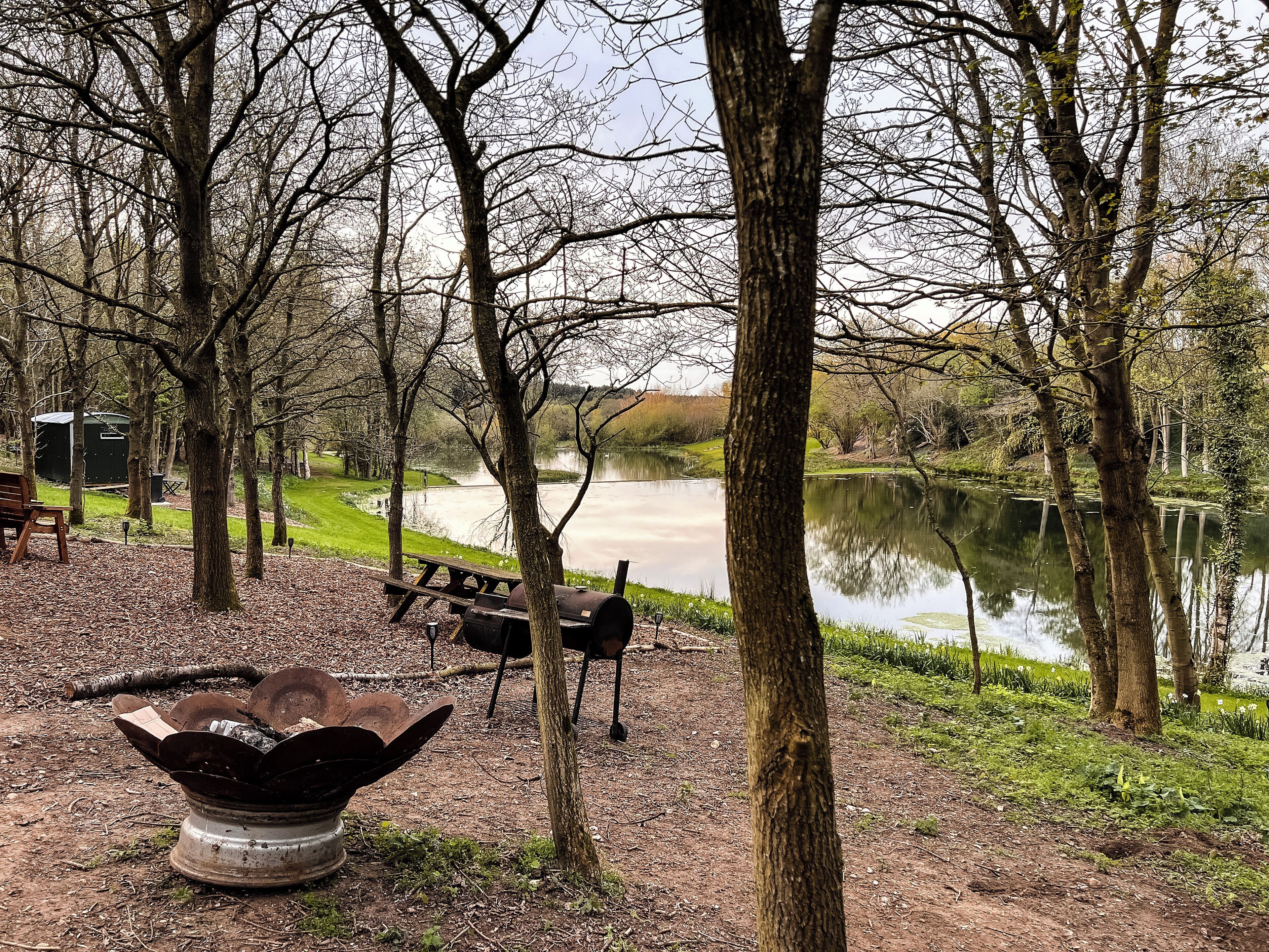 A lakeside park with picnic tables, a fire pit, and a small shed.