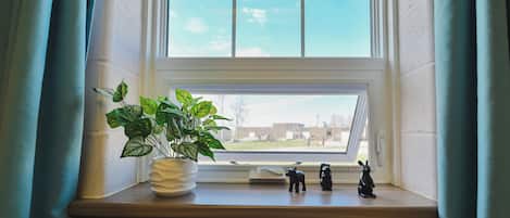 Chambre, 1 lit une place, non-fumeur