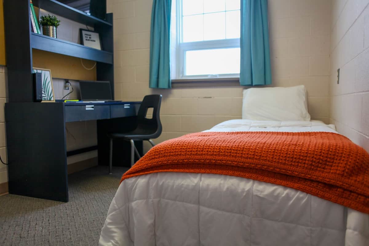 A dormitory room with a bed, a desk, and a chair. There is a window with curtains, a shelf with books and a plant, and a radiator on the wall.