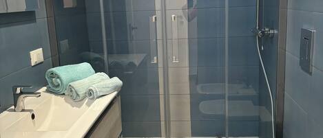 Shower, hair dryer, bidet, towels