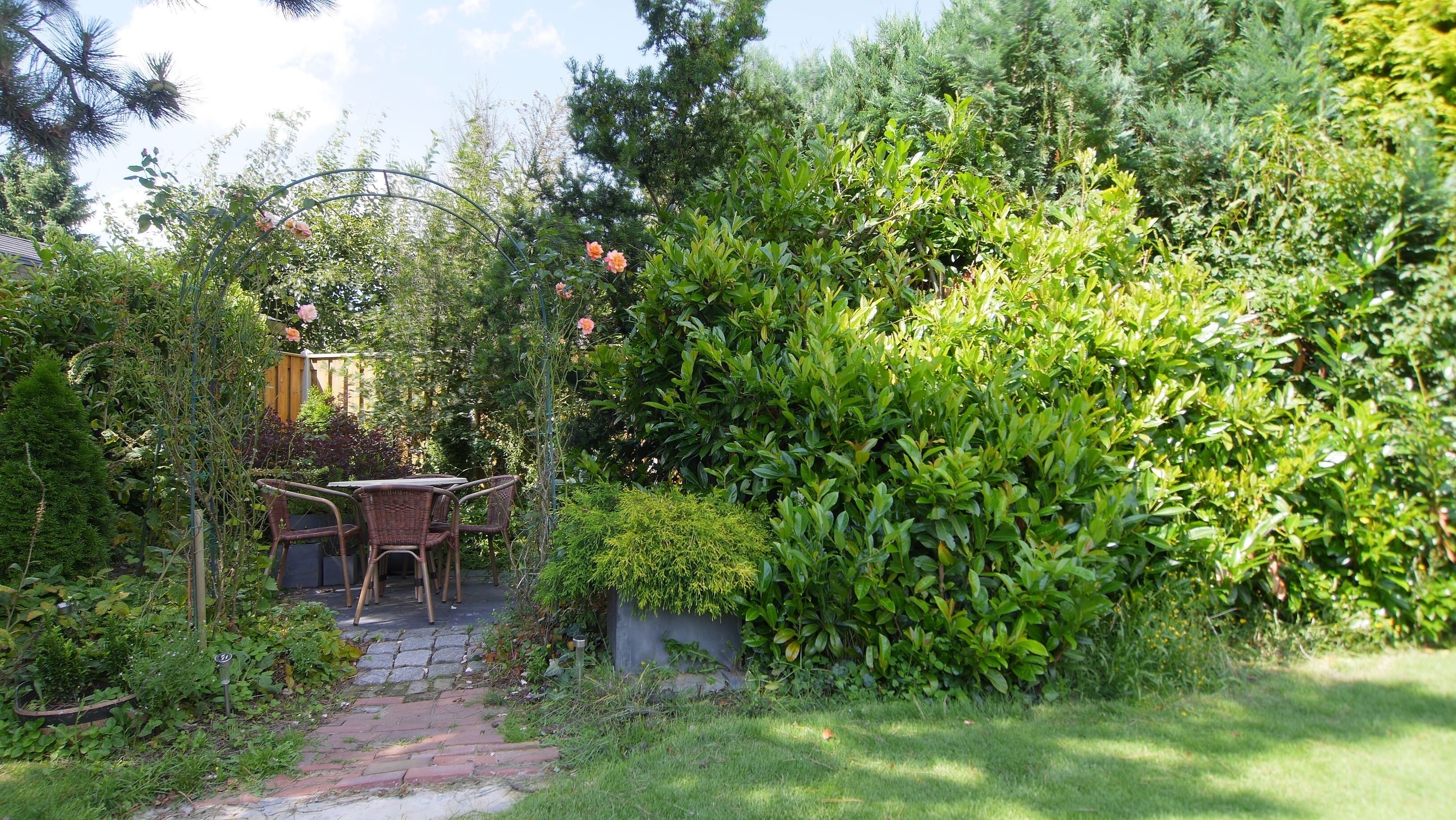 Ein Garten mit einem gepflasterten Weg, der zu einem Holztisch und Stühlen führt.