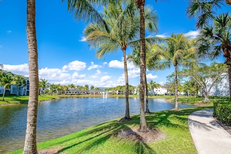 Lake view