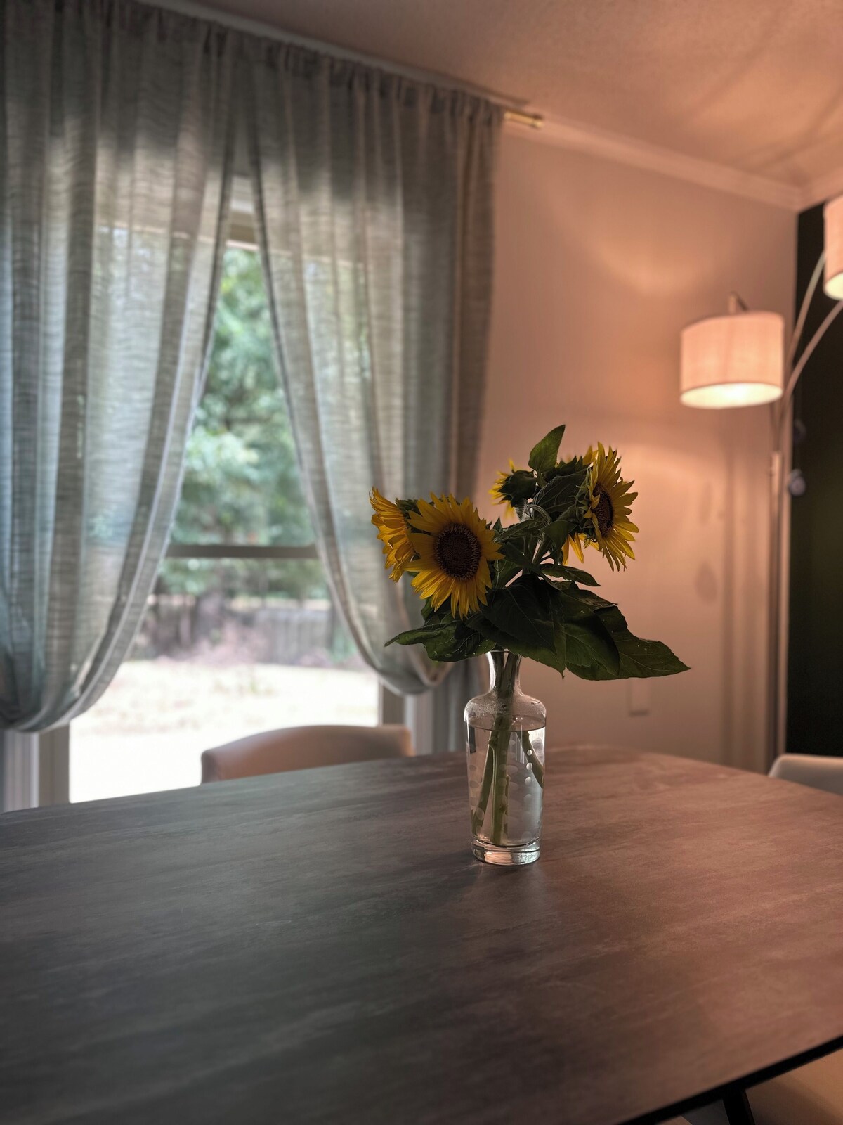Photo 8 of WOODLAND APARTMENT - An open concept 1-bedroom in charming Travelers Rest