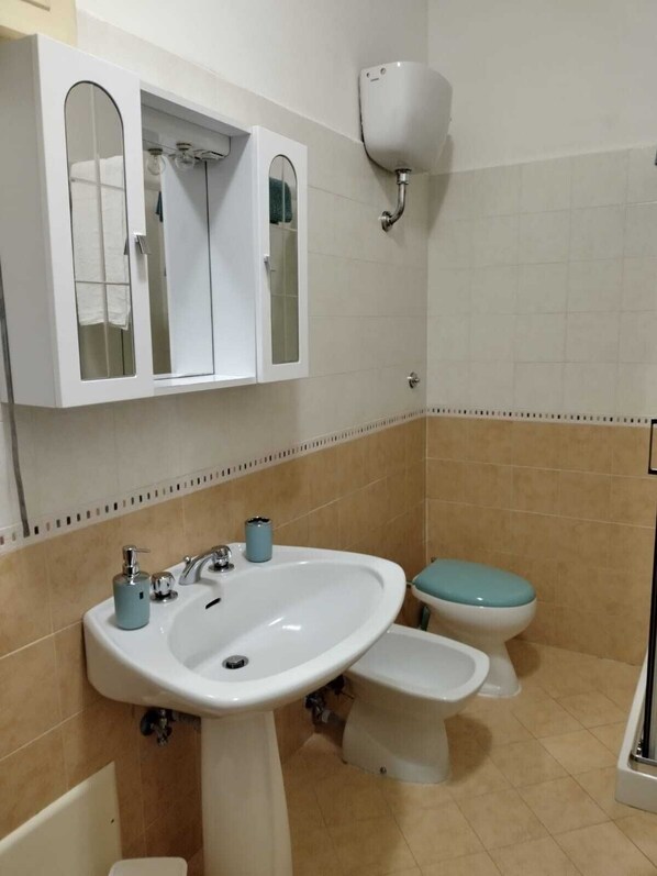 Hair dryer, towels, soap, toilet paper