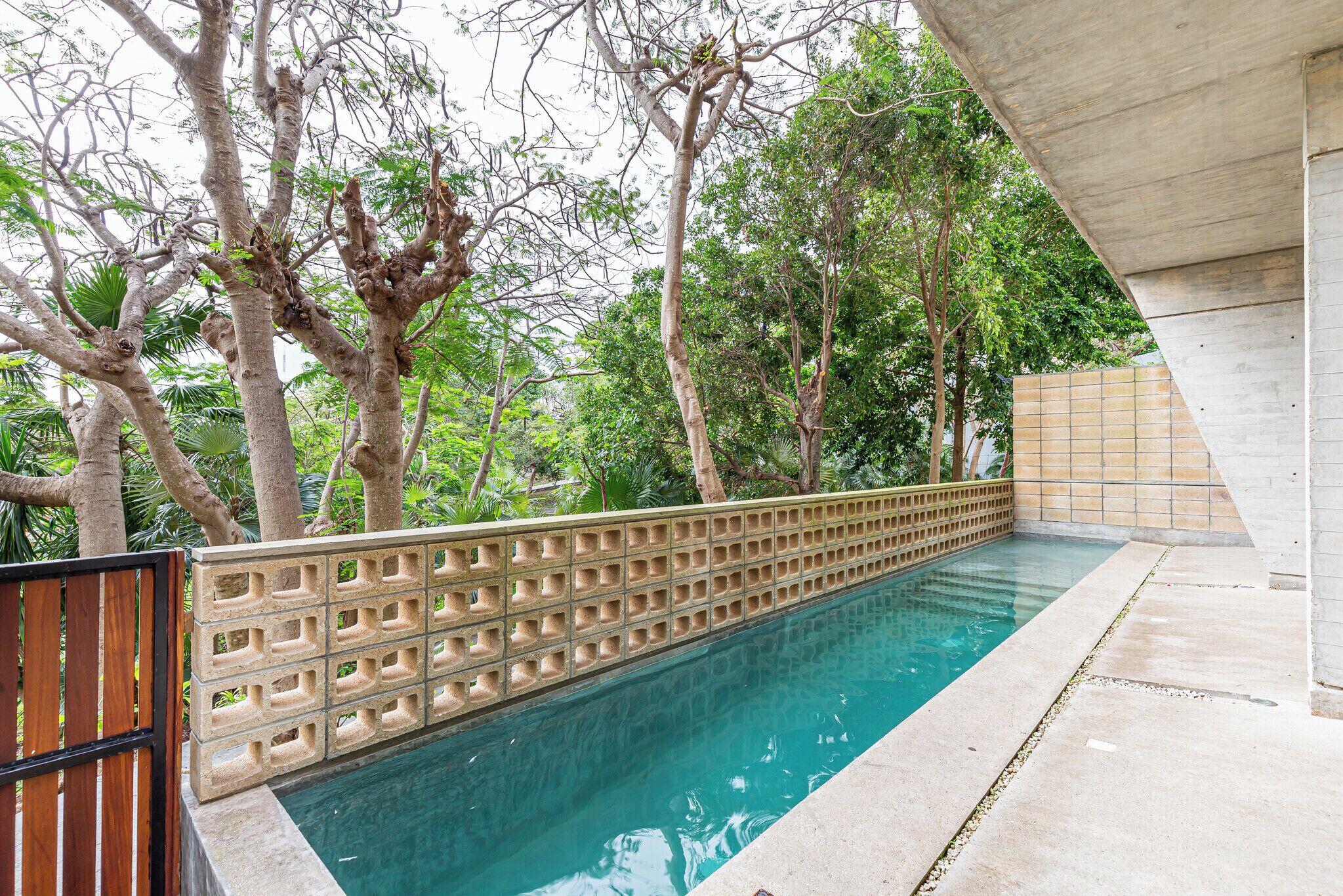 A swimming pool with a concrete deck, surrounded by trees and a wooden fence.