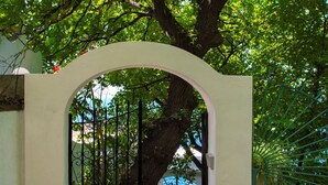 Un cancello chiuso con un arco bianco, che dà accesso a un vialetto circondato da alberi verdi e rigogliosi.