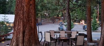 Hawks Nest in Shaver Lake