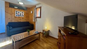 A cozy living room with a sofa, coffee table, TV, and wooden walls. - 40m from ski slopes, floor -2, fitness, swimming pool, sauna, balcony, tv, ski locker, 31m² (Les Orres)