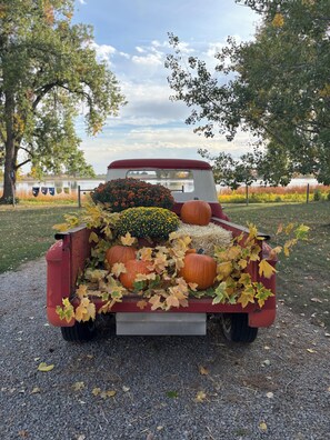 Overnattingsstedets uteområder