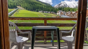 Property grounds - 40m from ski slopes, 3rd floor, fitness, swimming pool, sauna, balcony, tv, ski locker, 30m² (Les Orres)