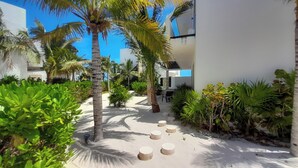 A resort pathway lined with palm trees and tropical plants, leading to a building with a white exterior and a visible window. - Corcomoran Luxury Beachfront house (Telchac Puerto)