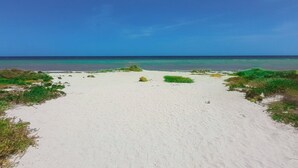 A beach with white sand, green vegetation, and a clear blue sky. - Corcomoran Luxury Beachfront house (Telchac Puerto)
