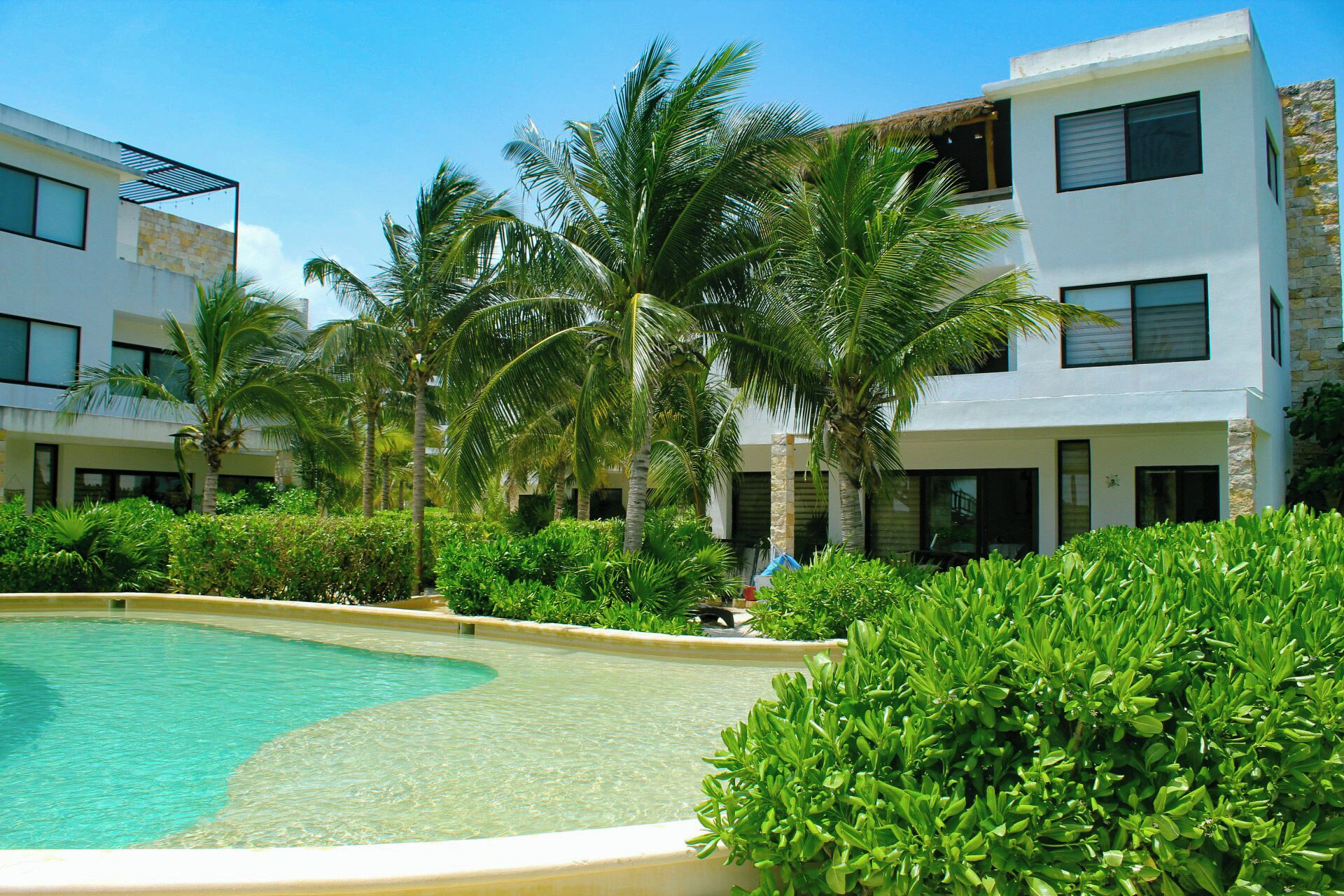 A pool surrounded by lush greenery and modern buildings with multiple windows.