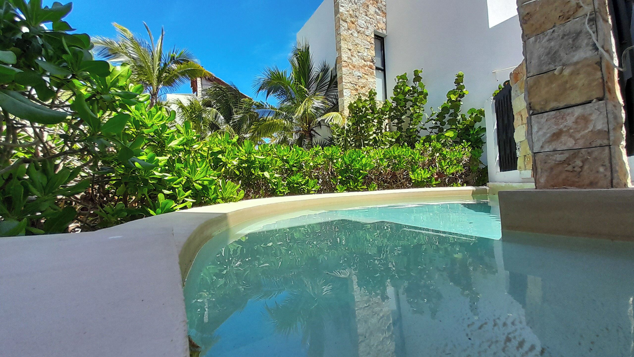 Una piscina envoltada de vegetació exuberant i arquitectura moderna.