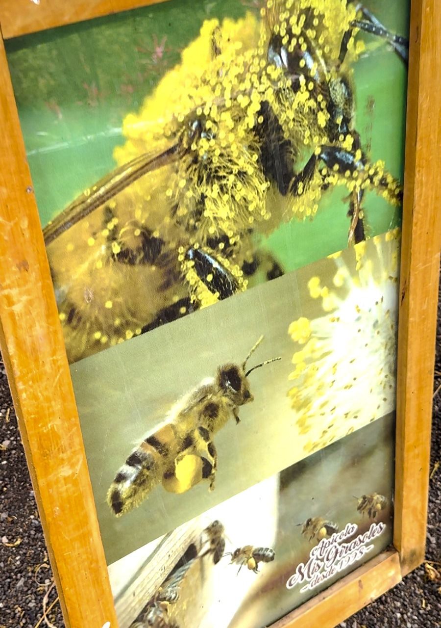 平衡车游览