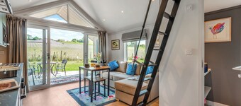 Cranbourne Chase Stargazer - UKC6914