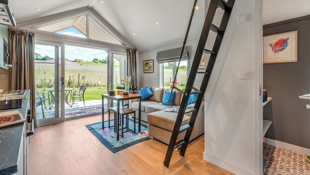 Een ruime woonkamer met een slaaploft, een keuken en uitzicht op het landschap.