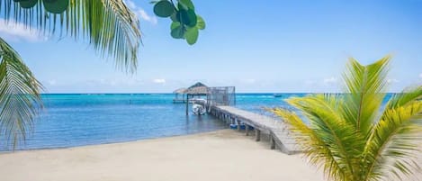 Serviettes de plage
