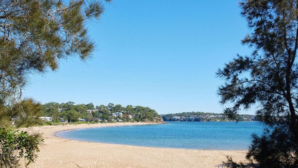 A beach with clear blue water, sandy shore, and surrounding greenery.