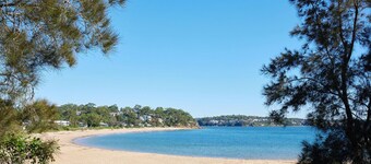 Discover Royal National Park in this Stylish 1BR
