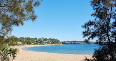 Discover Royal National Park in this Stylish 1BR