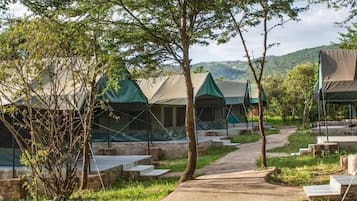 Parco della struttura