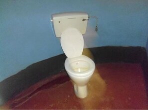 Sèche-cheveux, serviettes fournies, savon, shampoing