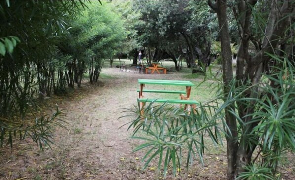 Enceinte de l’hébergement